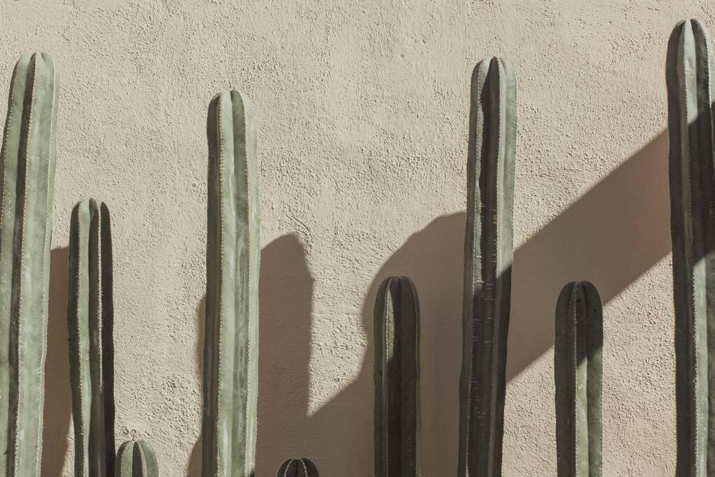 Cien Palmas- Authentic Mexican Casita 3 -Downtown Todos Santos Exteriér fotografie